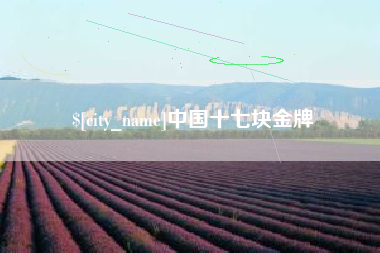 昭通中国十七块金牌