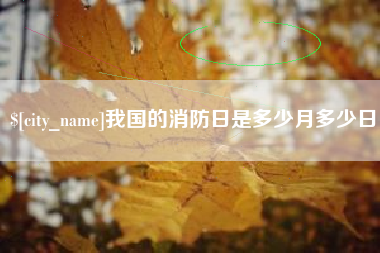 昭通我国的消防日是多少月多少日