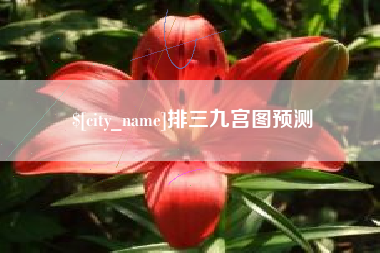昭通排三九宫图预测