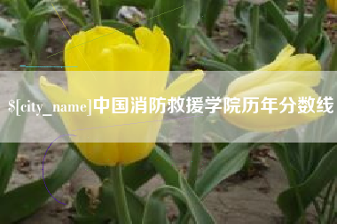 昭通中国消防救援学院历年分数线