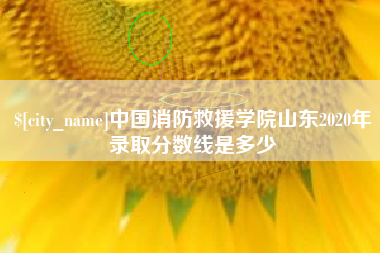 昭通中国消防救援学院山东2020年录取分数线是多少