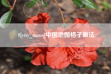 昭通中国地图格子画法