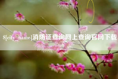 昭通消防证查询网上查询官网下载