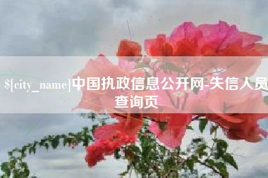 昭通中国执政信息公开网-失信人员查询页