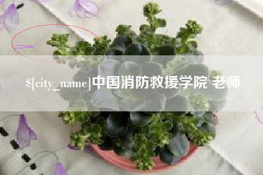 昭通中国消防救援学院 老师