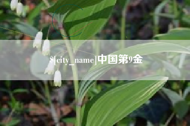 昭通中国第9金