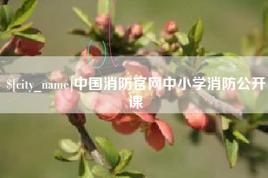 昭通中国消防官网中小学消防公开课