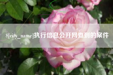 昭通执行信息公开网查到的案件