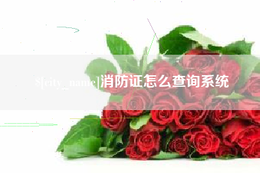 昭通消防证怎么查询系统