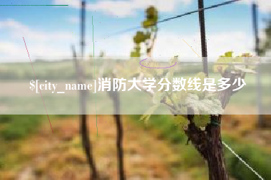 昭通消防大学分数线是多少