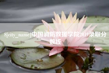 昭通中国消防救援学院2019录取分数线