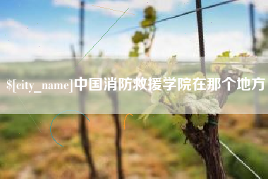 昭通中国消防救援学院在那个地方