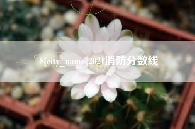 昭通2021消防分数线