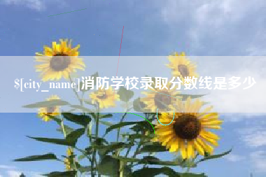 昭通消防学校录取分数线是多少