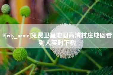 昭通免费卫星地图高清村庄地图看到人实时下载
