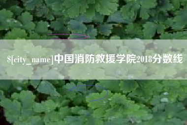 昭通中国消防救援学院2018分数线