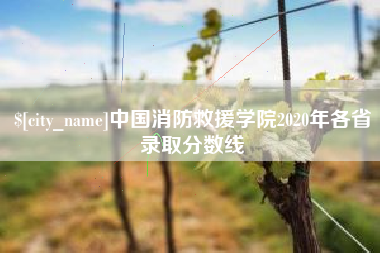 昭通中国消防救援学院2020年各省录取分数线