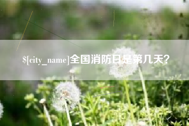 昭通全国消防日是第几天？
