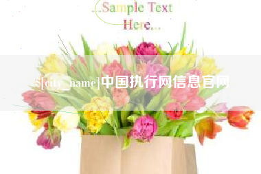昭通中国执行网信息官网