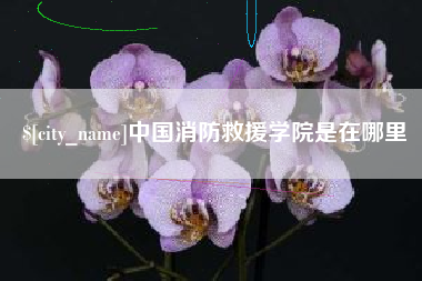 昭通中国消防救援学院是在哪里