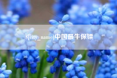 昭通中国最牛保镖