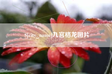 昭通九宫格龙图片