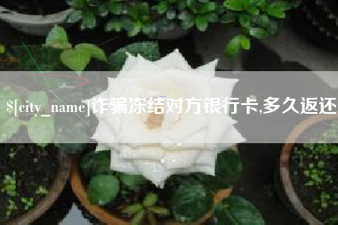 昭通诈骗冻结对方银行卡,多久返还