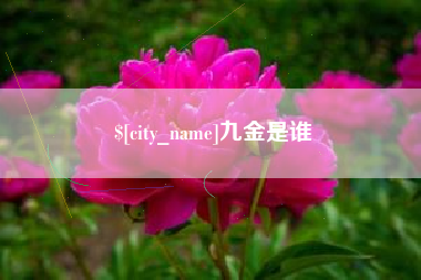 昭通九金是谁