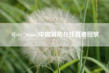 昭通中国消防在线直播回放