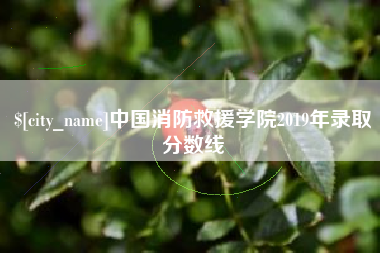 昭通中国消防救援学院2019年录取分数线