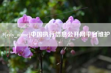 昭通中国执行信息公开网平台维护