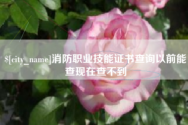 昭通消防职业技能证书查询以前能查现在查不到