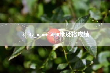 昭通5000米及格成绩