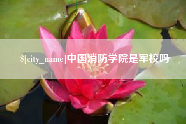昭通中国消防学院是军校吗