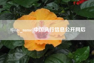 昭通中国执行信息公开网后