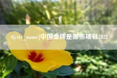 昭通中国金牌是哪些项目2021