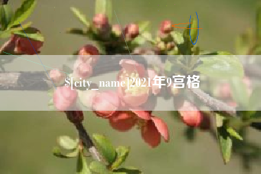 昭通2021年9宫格