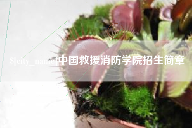 昭通中国救援消防学院招生简章