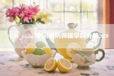 昭通中国消防救援学院分数2020