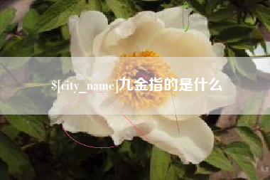 昭通九金指的是什么
