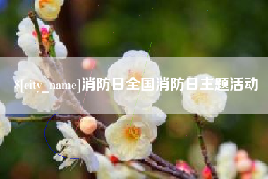 昭通消防日全国消防日主题活动