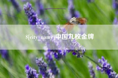 昭通中国九枚金牌