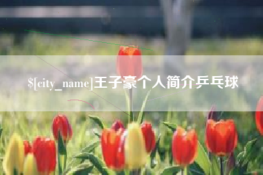 昭通王子豪个人简介乒乓球