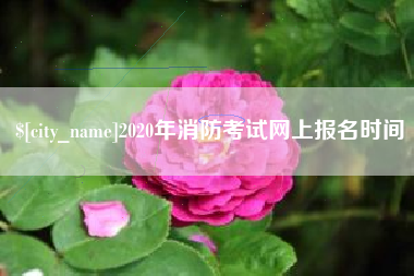 昭通2020年消防考试网上报名时间