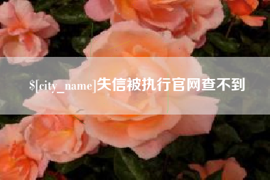 昭通失信被执行官网查不到