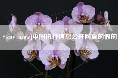 昭通中国执行信息公开网真的假的