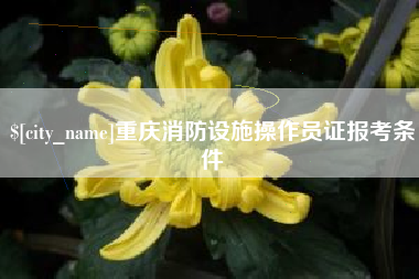 昭通重庆消防设施操作员证报考条件