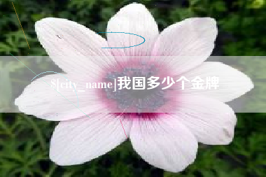昭通我国多少个金牌