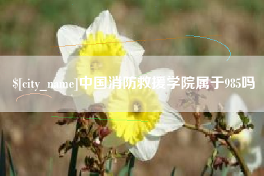 昭通中国消防救援学院属于985吗