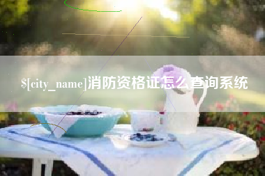 昭通消防资格证怎么查询系统